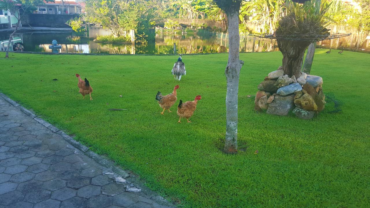 Pousada Pavao Branco Florianópolis Eksteriør billede