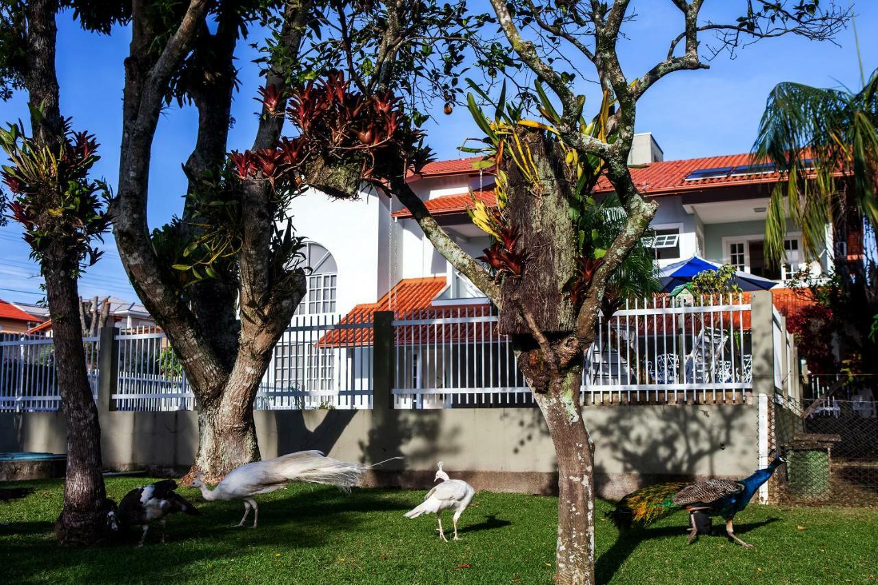 Pousada Pavao Branco Florianópolis Eksteriør billede